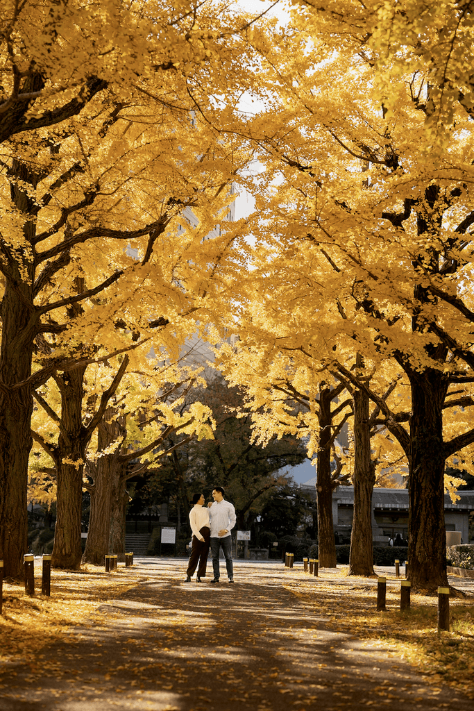 Couple photoshoot amongst gingko trees in Tokyo