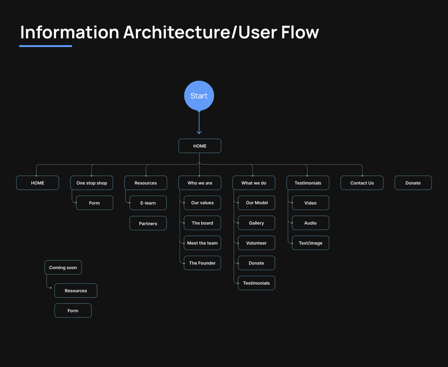 BPUSA Case Study User Flow