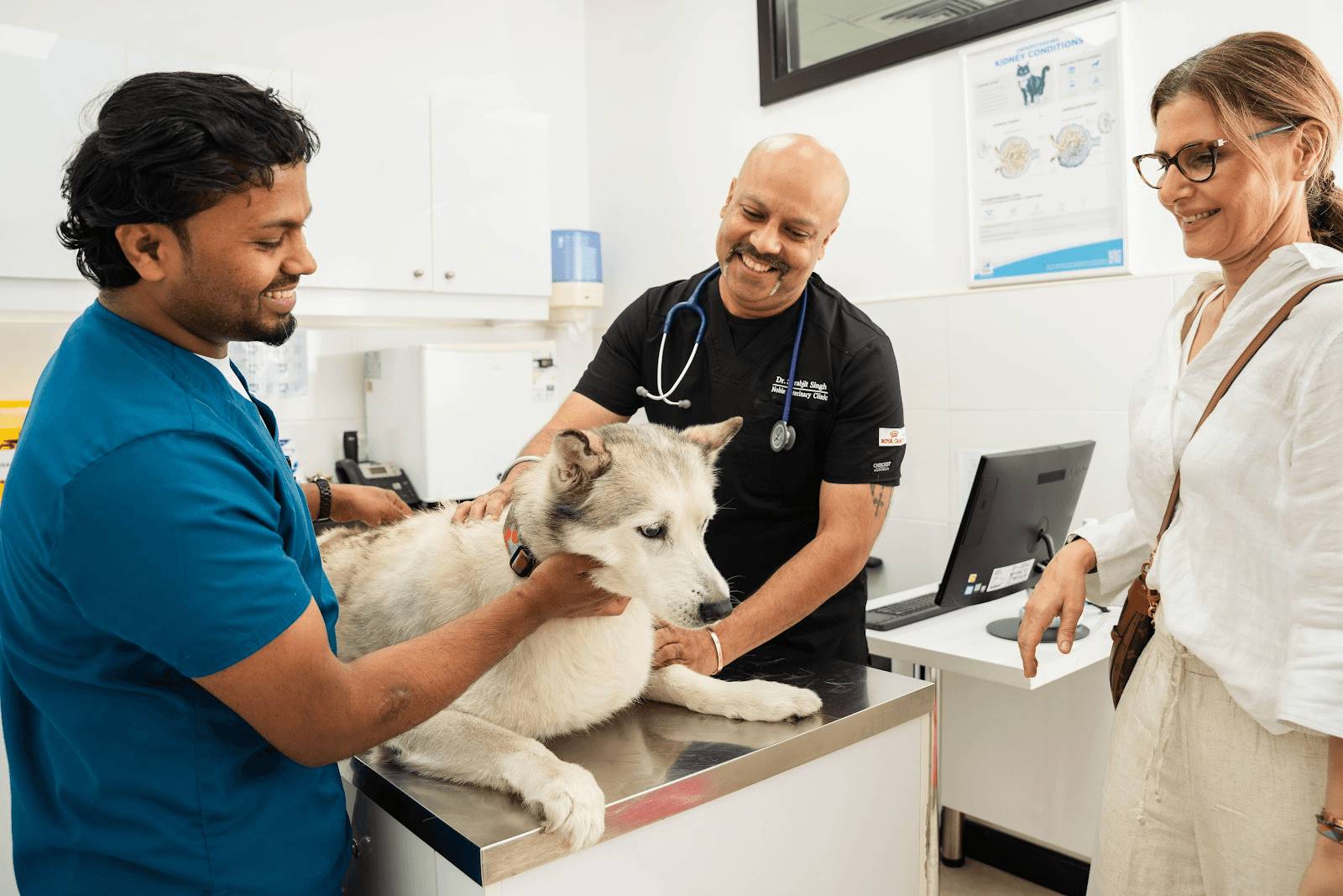 What is the Treatment for Ascites in Dogs?