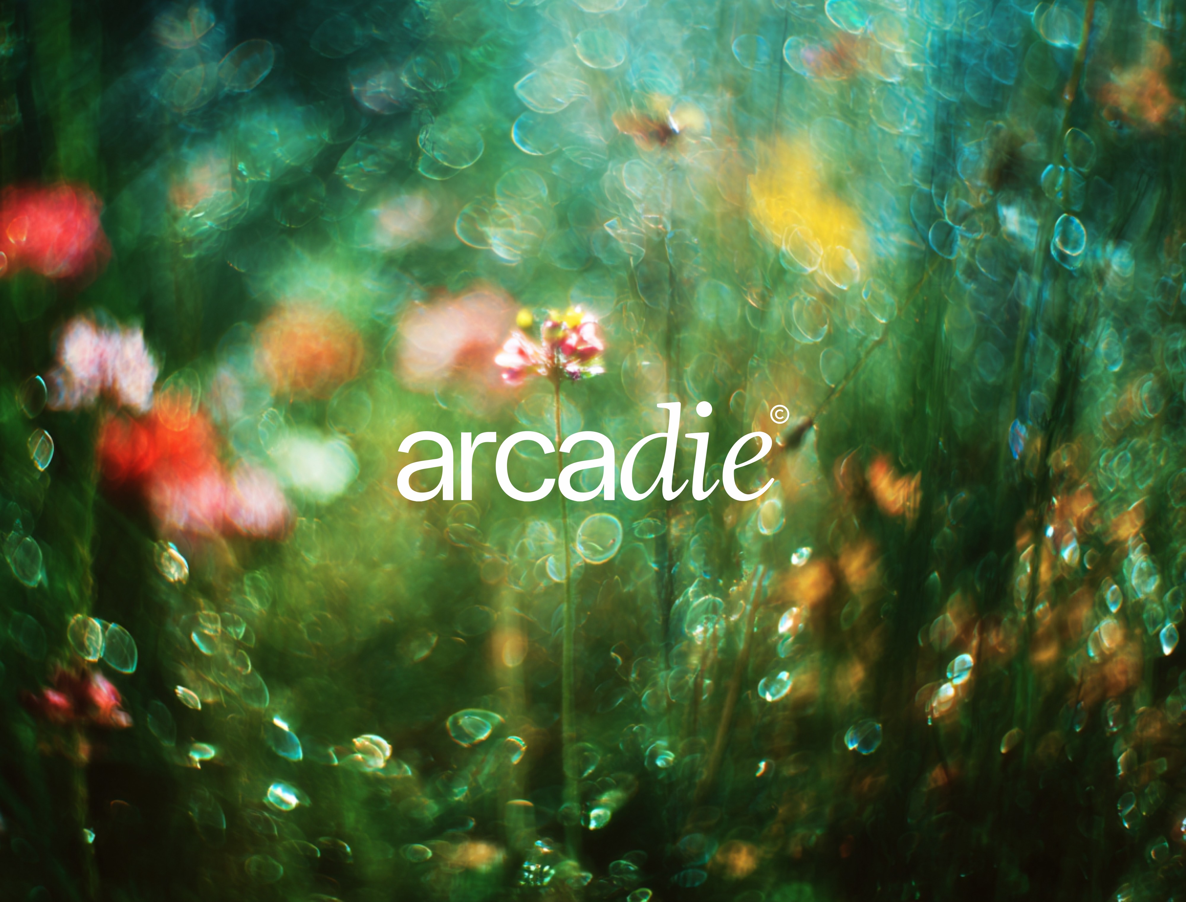 White branded cap with turquoise logo placed on fresh lemons in a red bowl