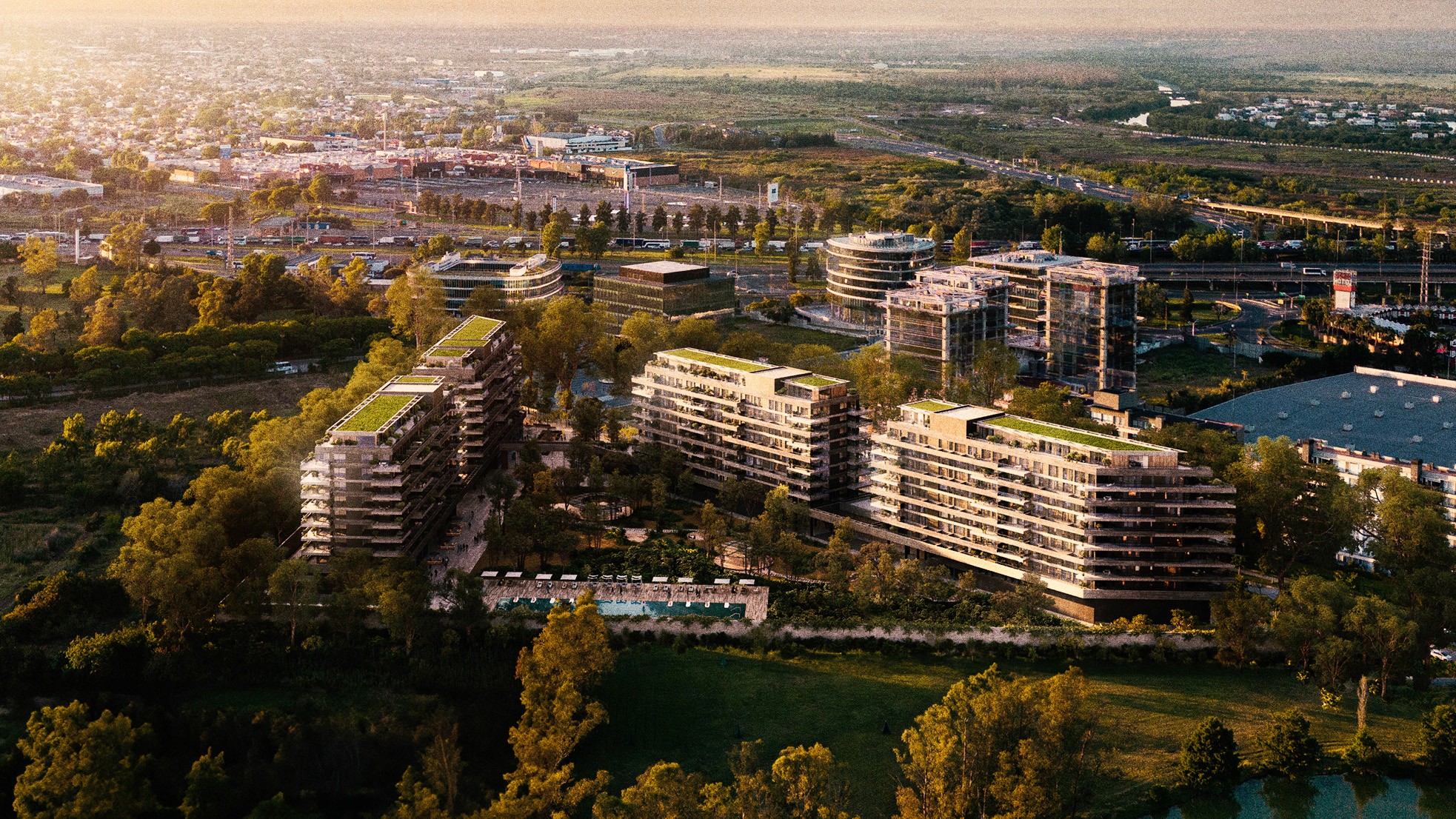 Petal Frames Project