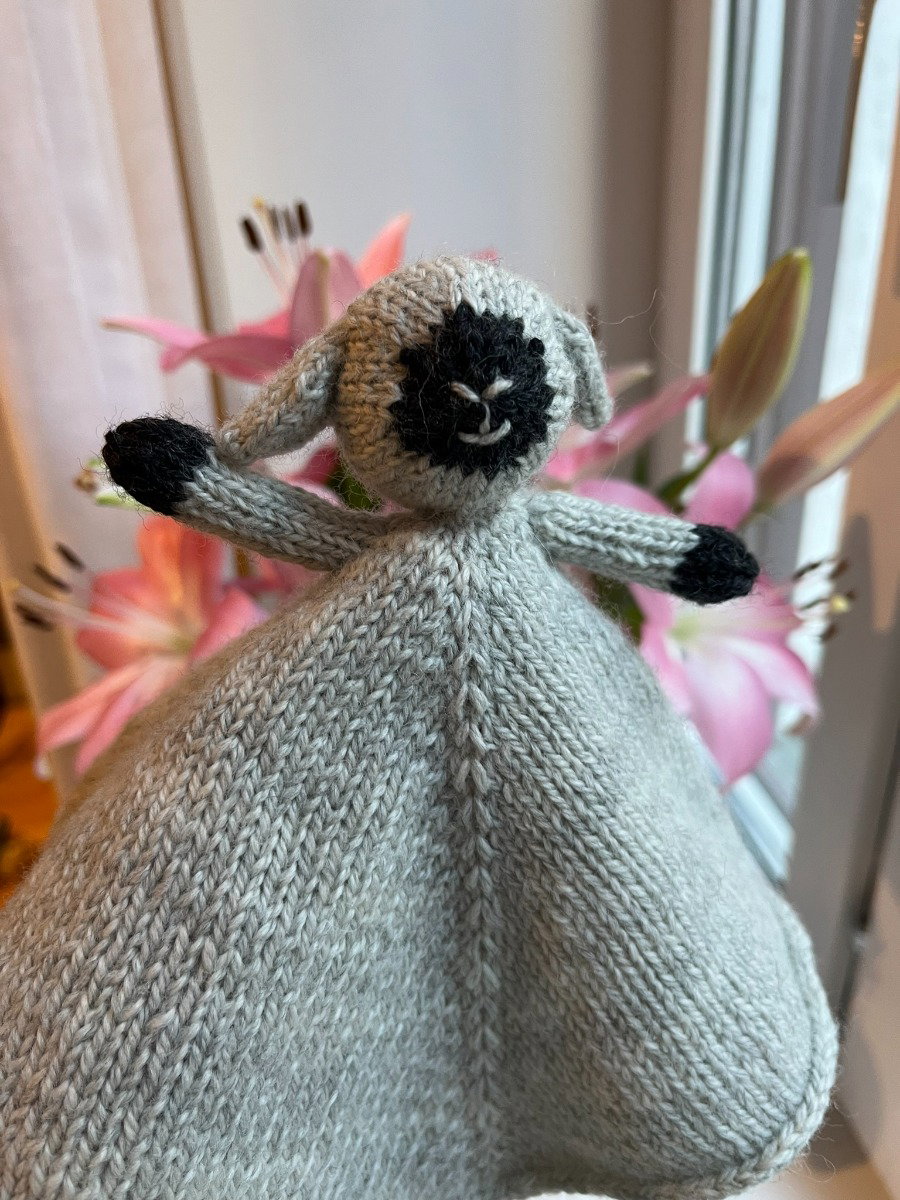 Sauen Petra knitting pattern, photo 2