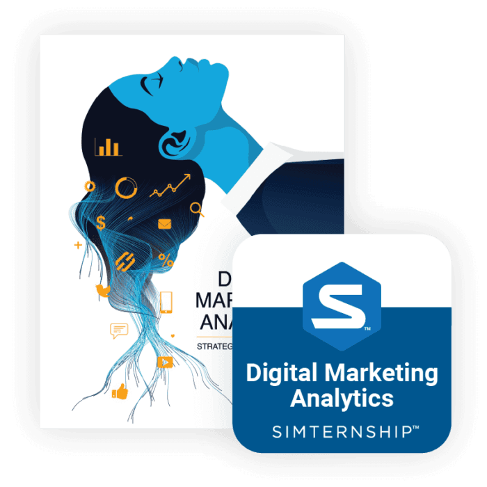 the Stukent Digital Marketing Analytics bundle