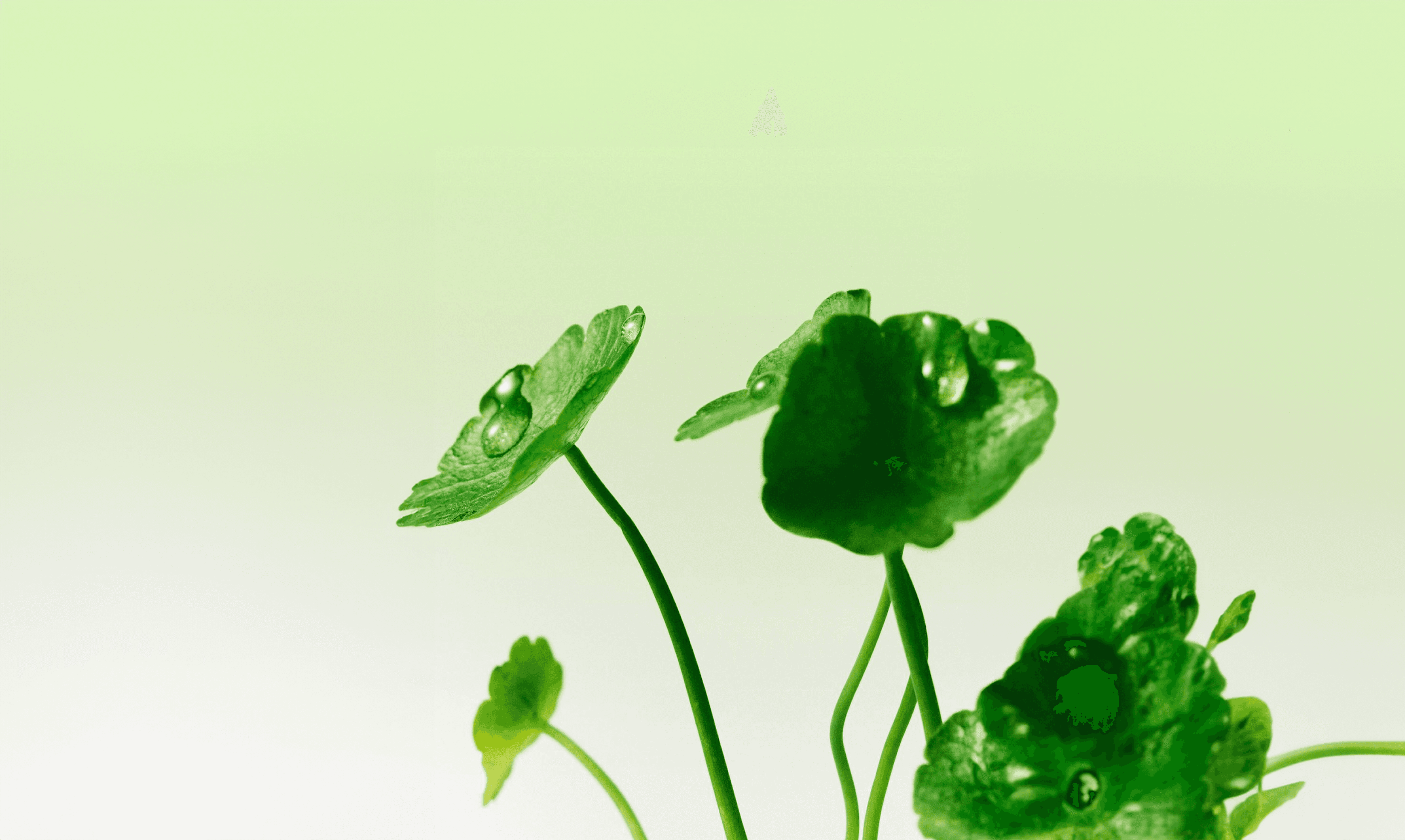 Supporting image for The Future of Wellness Is Preventive, Not Reactive