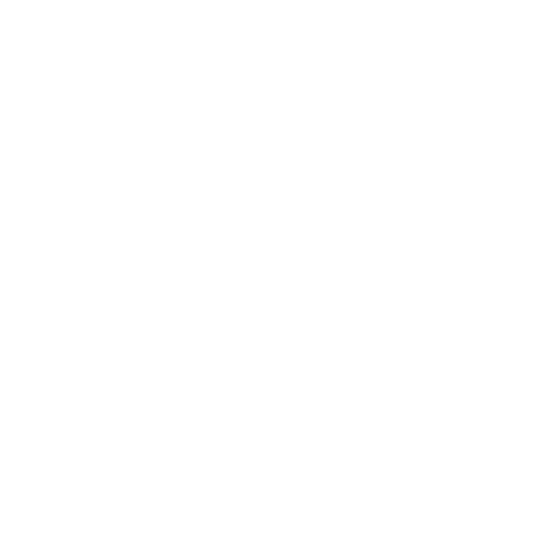 Cohere Command Light Model