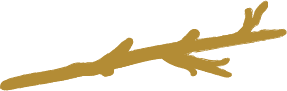 Decorative Graphic