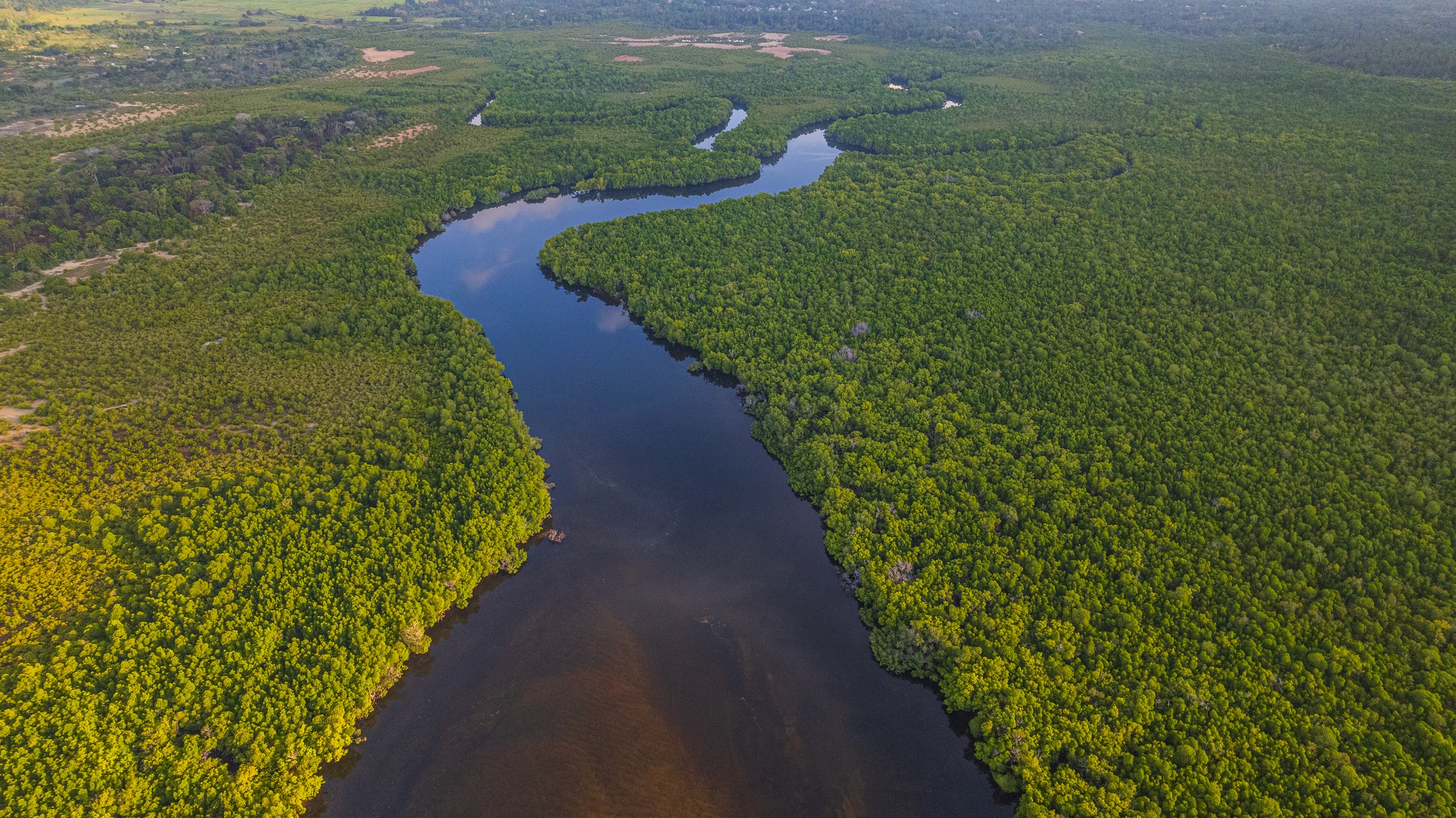 Areial view of mangroves and river. Photo credit Anthony Ochieng Onyango