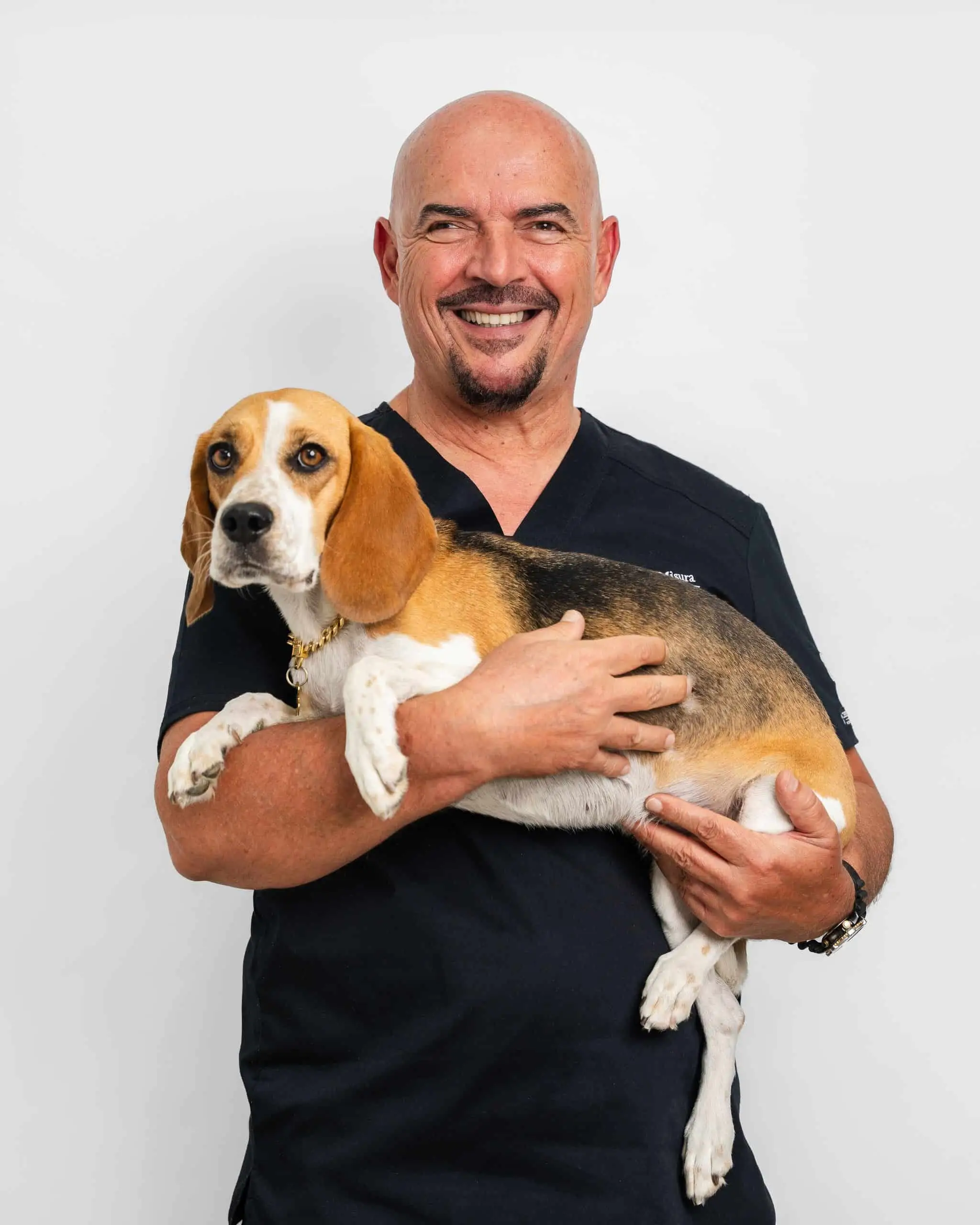 Dr. Nenad Misura holds a beagle dog in our vet clinic.