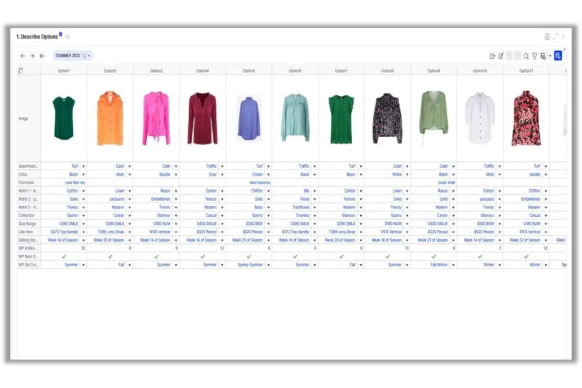 Dataviva is a retail planning and optimization platform.