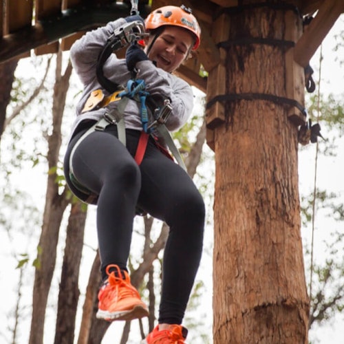 Dwellingup：在Dwellingup的树顶探险门票