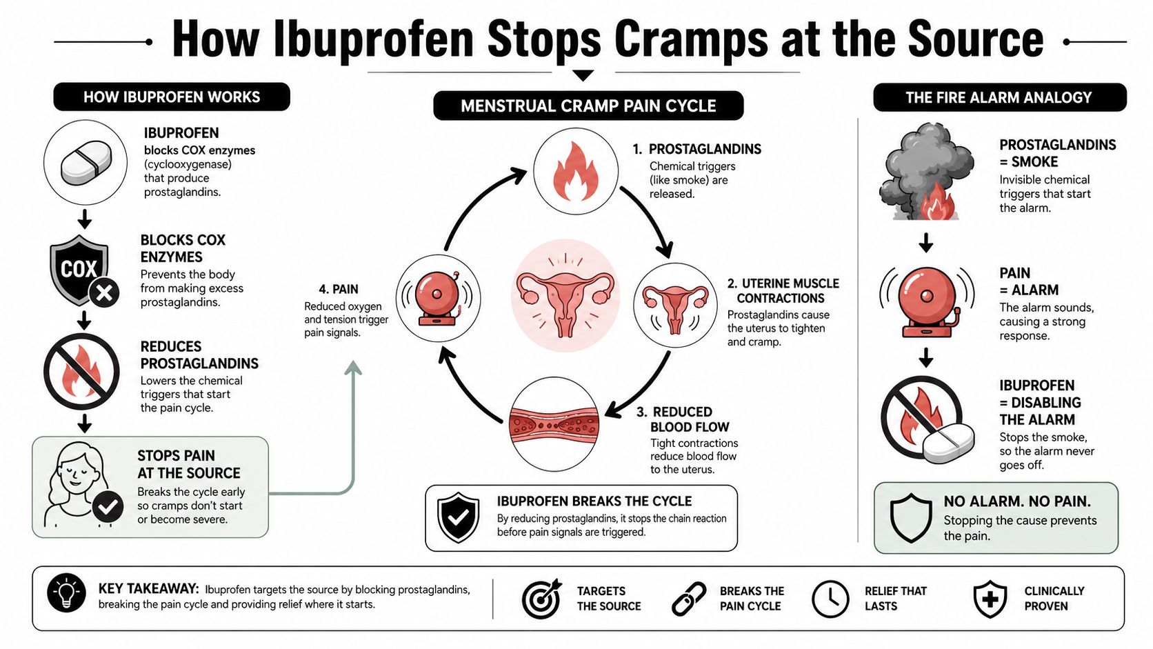 An infographic explaining how ibuprofen relieves menstrual cramps by blocking prostaglandins and breaking the pain cycle.