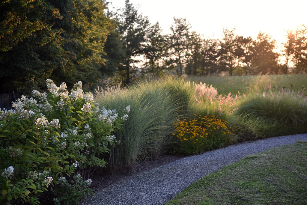 Sentiero nel giardino