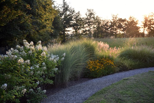 Sentiero nel giardino
