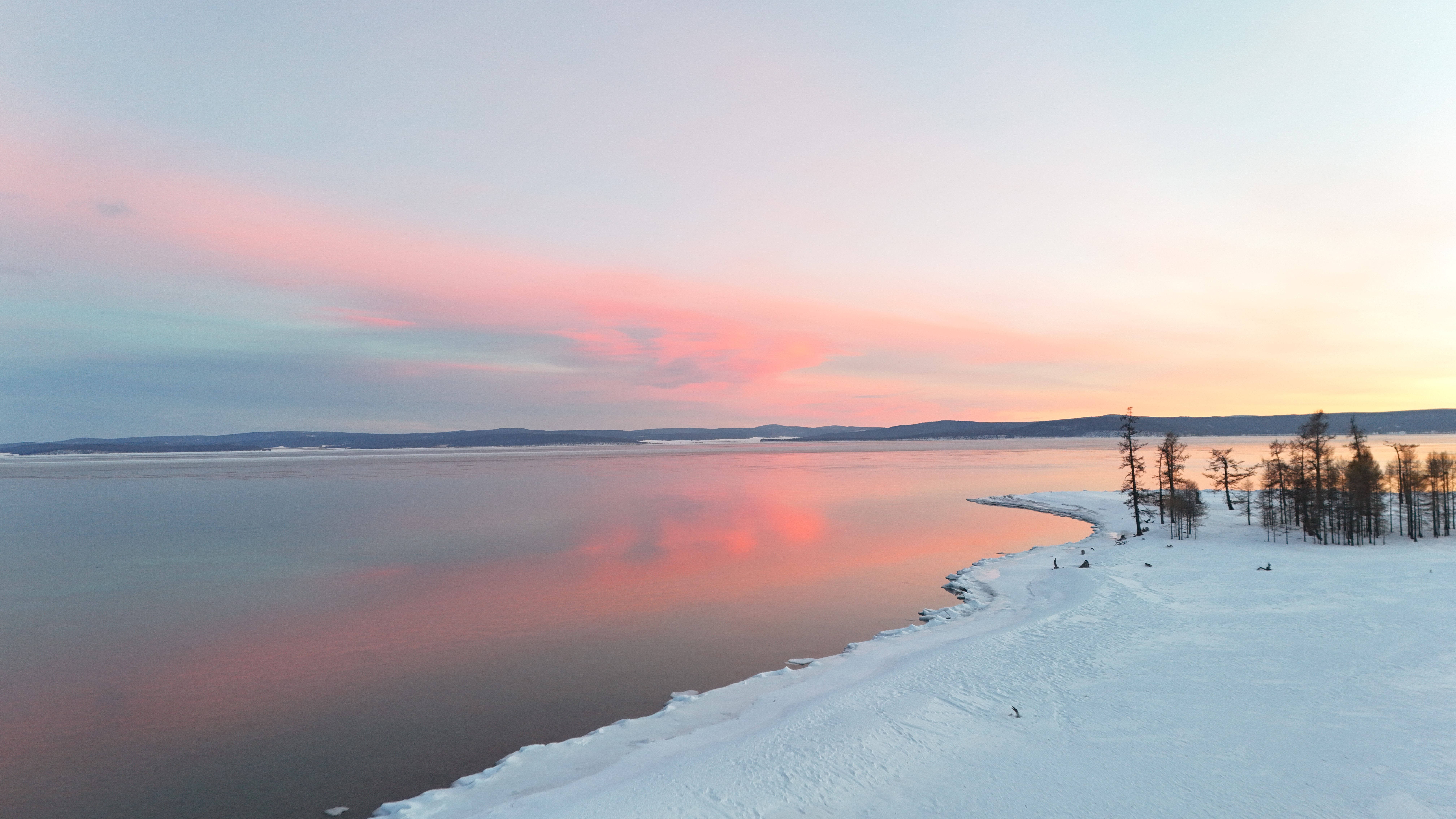 Close-up of a green palm leaf with intricate veining and texture, showcasing rich shades of green.