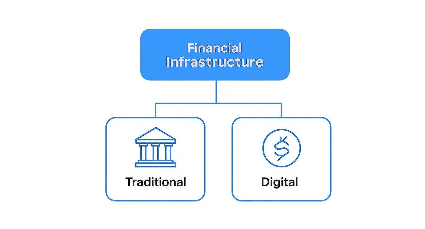 Diagram showing financial infrastructure categorized into traditional (bank icon) and digital (dollar symbol) forms.