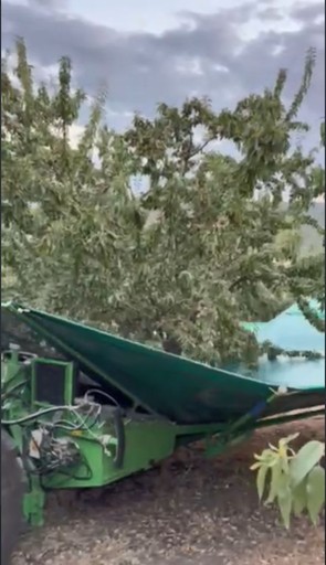 natural beauty products