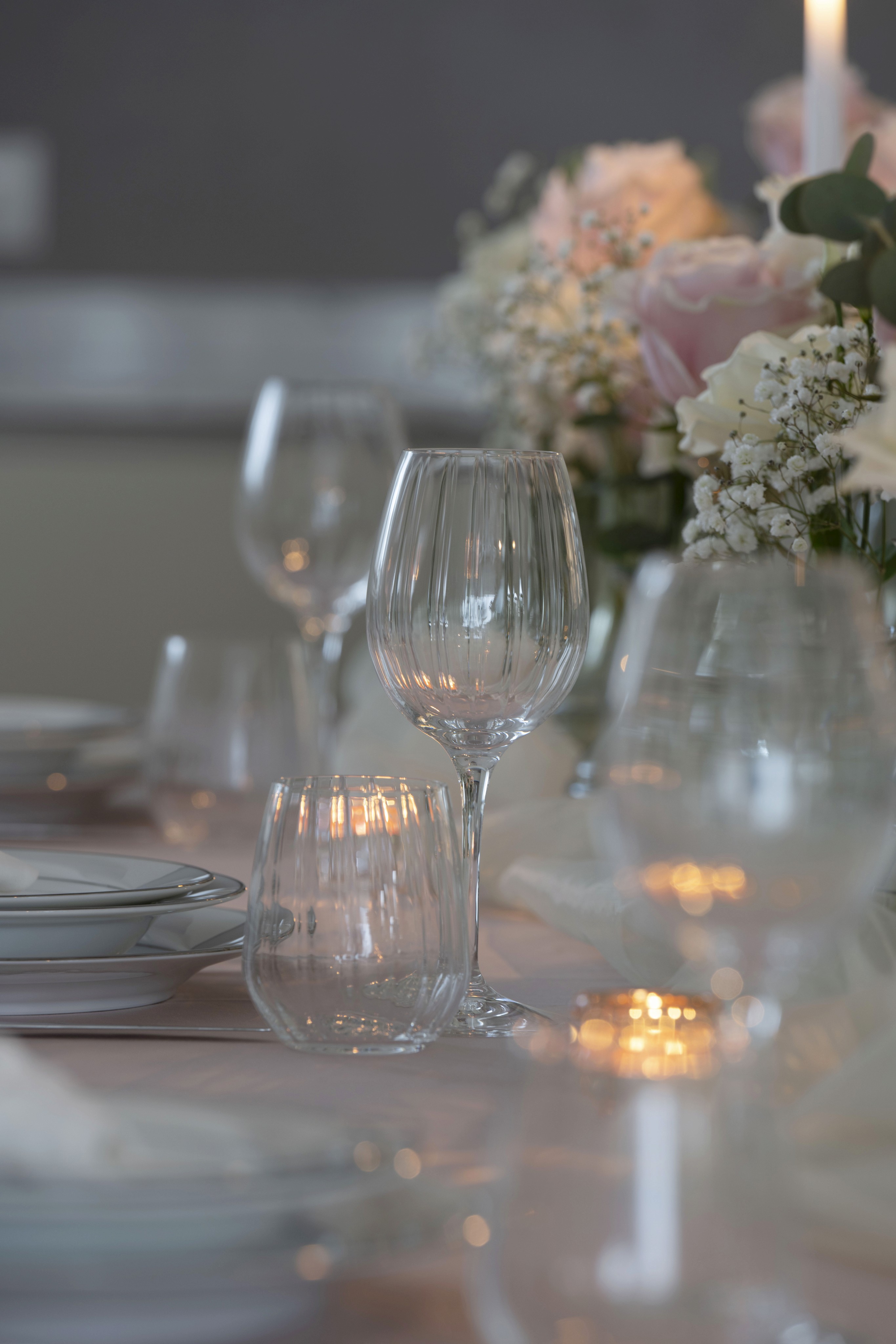 Close-up of a tree stump showing growth rings and a textured brown wood surface.