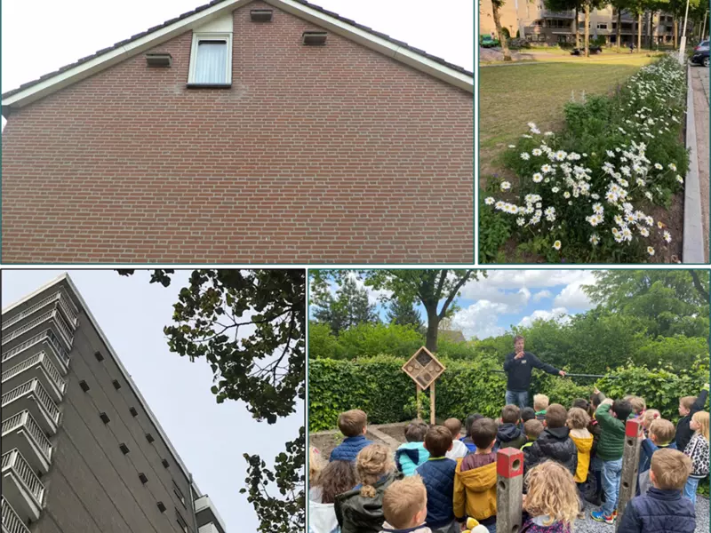 Monitoring Zaltbommel
