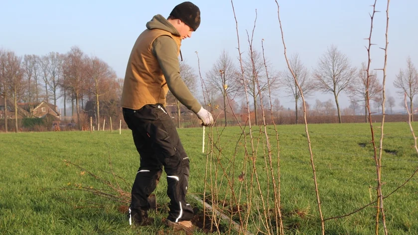 Premium UX Template for Framer