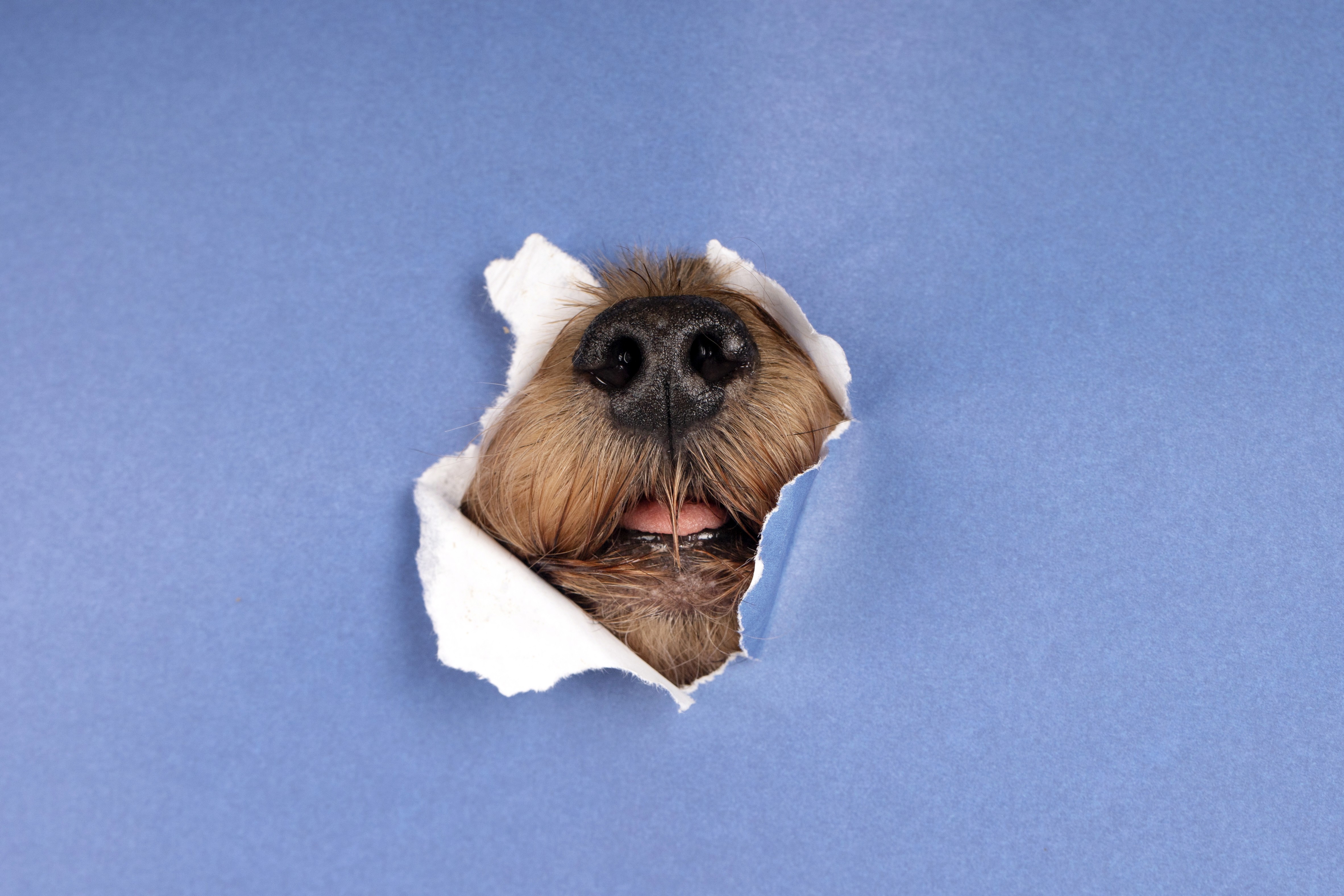 interior design chair