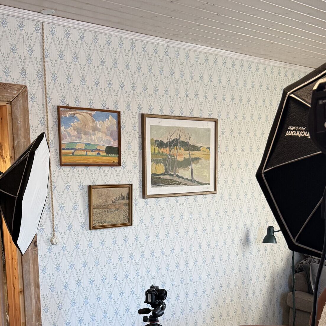 Stuudiovalgustid ja kaamera koduses võttepaigas