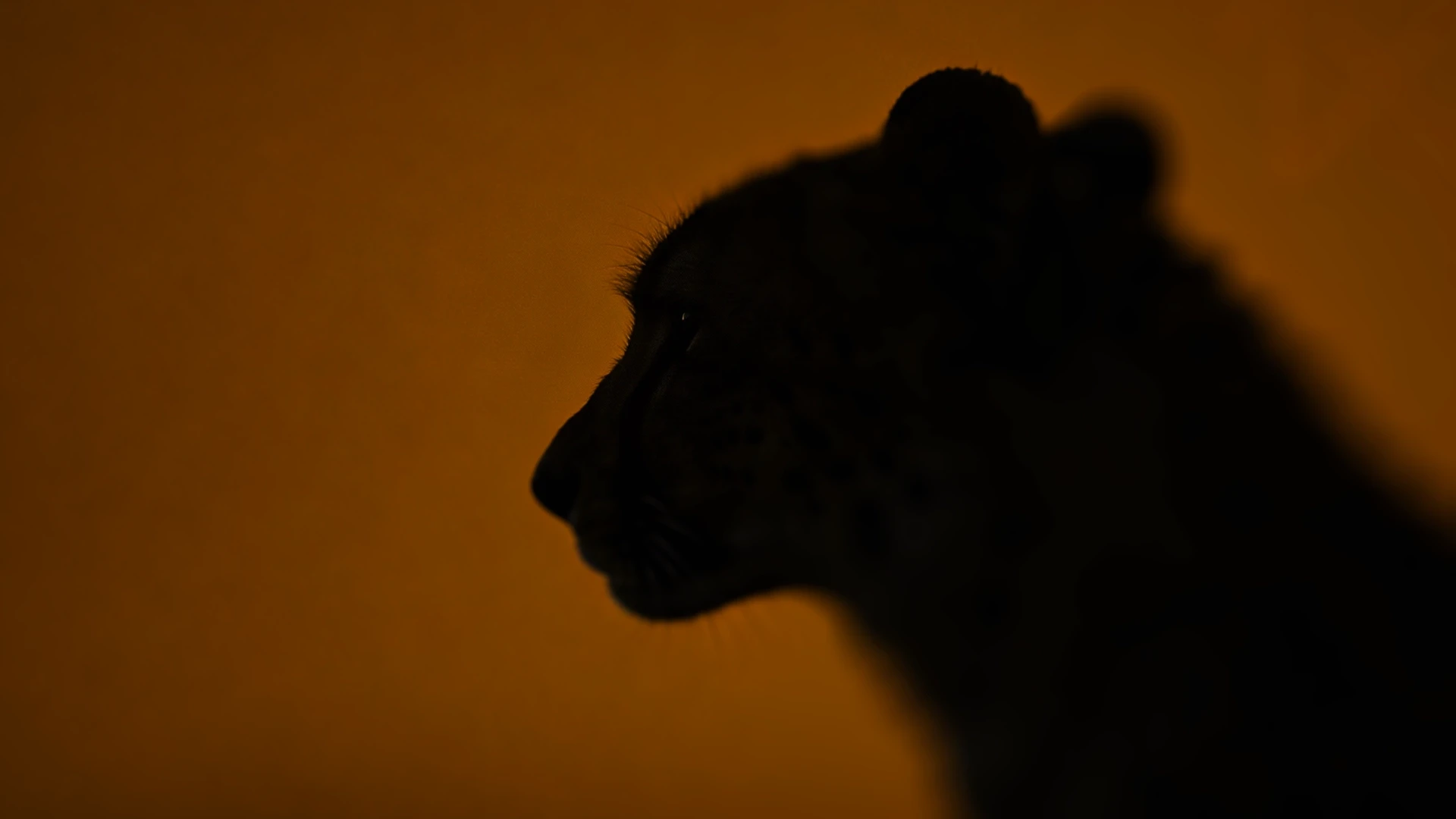 Terracotta stucco space with intersecting arches and warm sunlight creating geometric shadows.