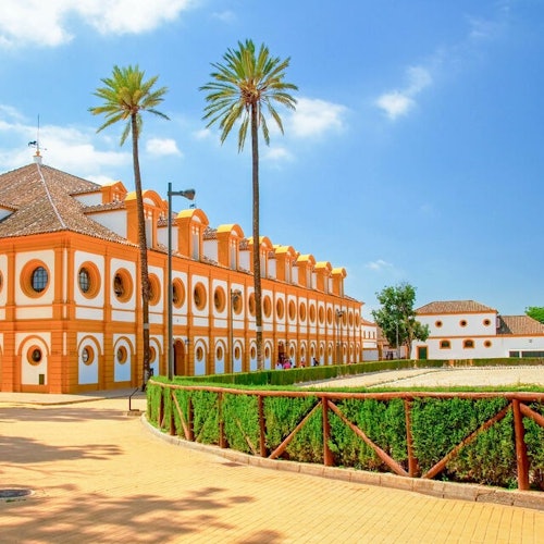 Como bailan los caballos andaluces