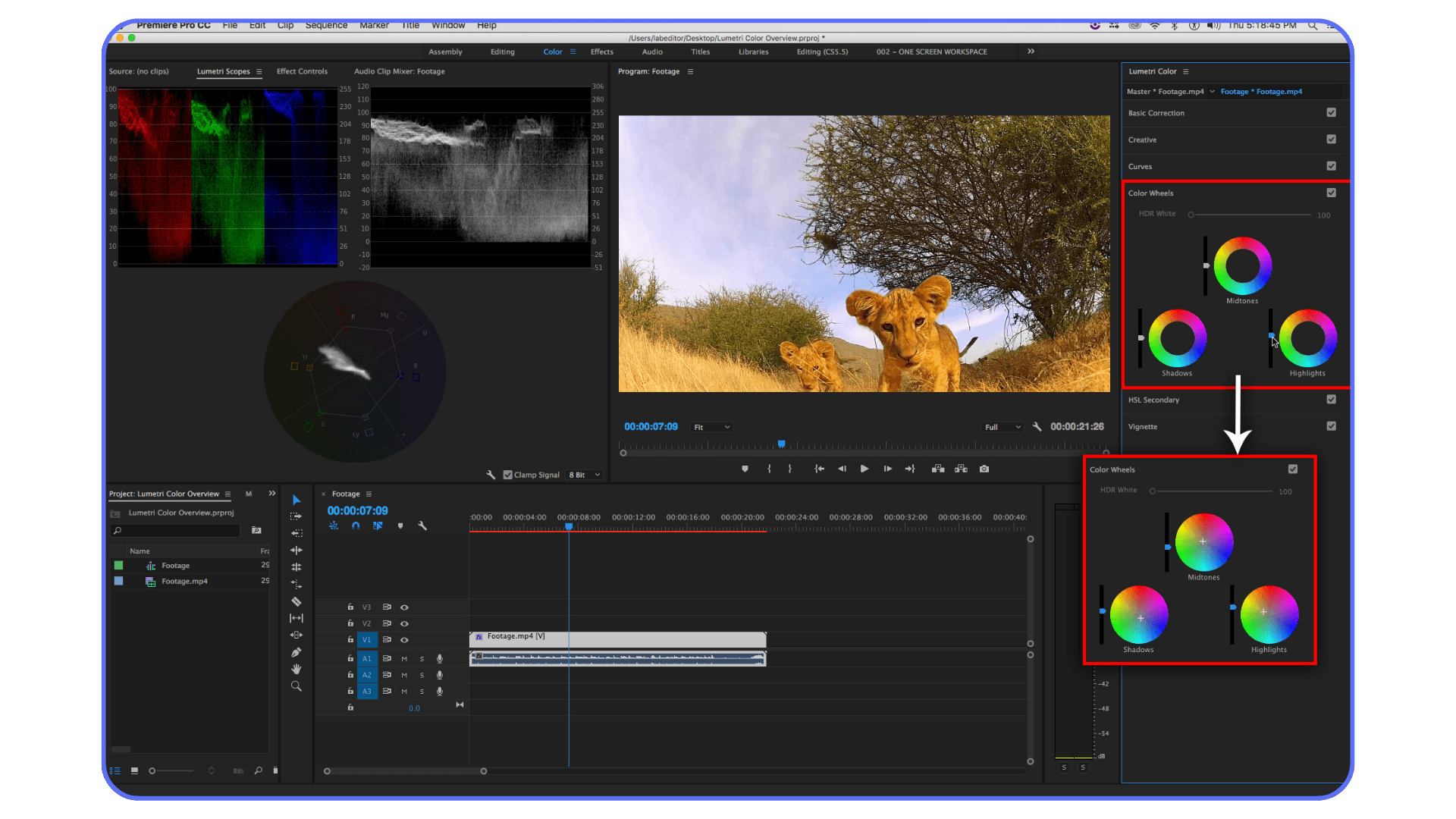 Lumetri Color panel in Adobe Premiere Pro showing color wheels and scopes during color grading