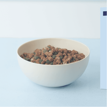 White bowl filled with mixed dry dog food kibble pieces on a light surface