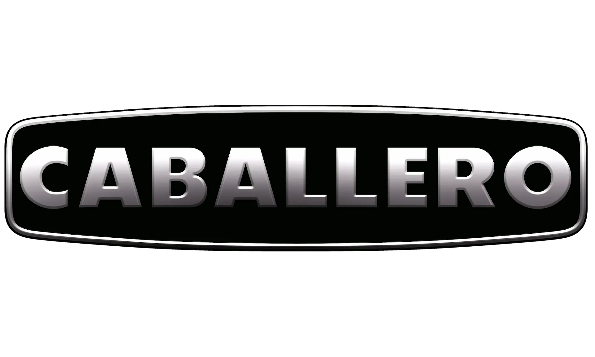 Partner tecnico NILS Suzuki Valenti