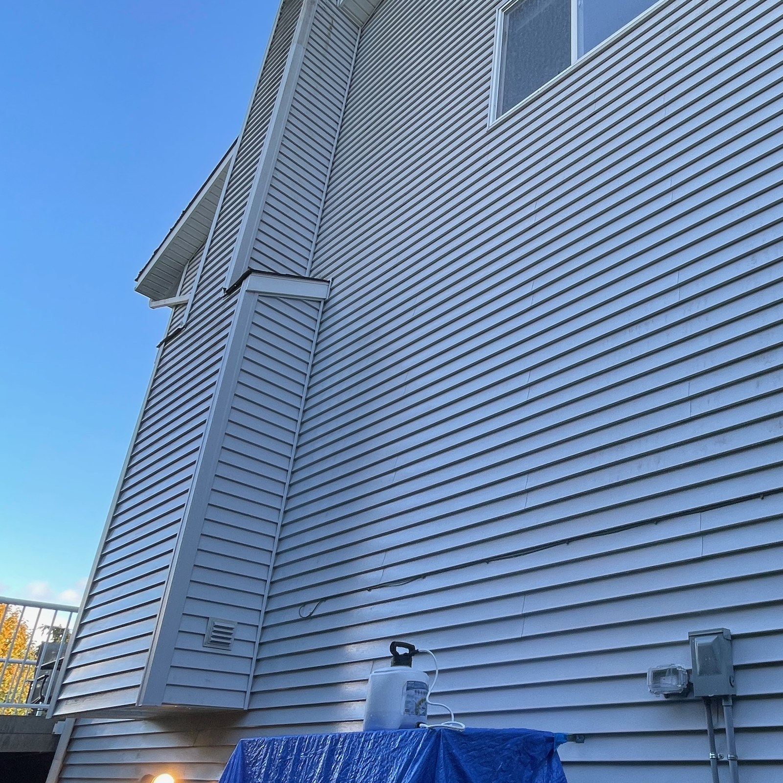 After: vinyl siding soft wash & algae removal by Peterson Property Services in Lake Stevens, WA