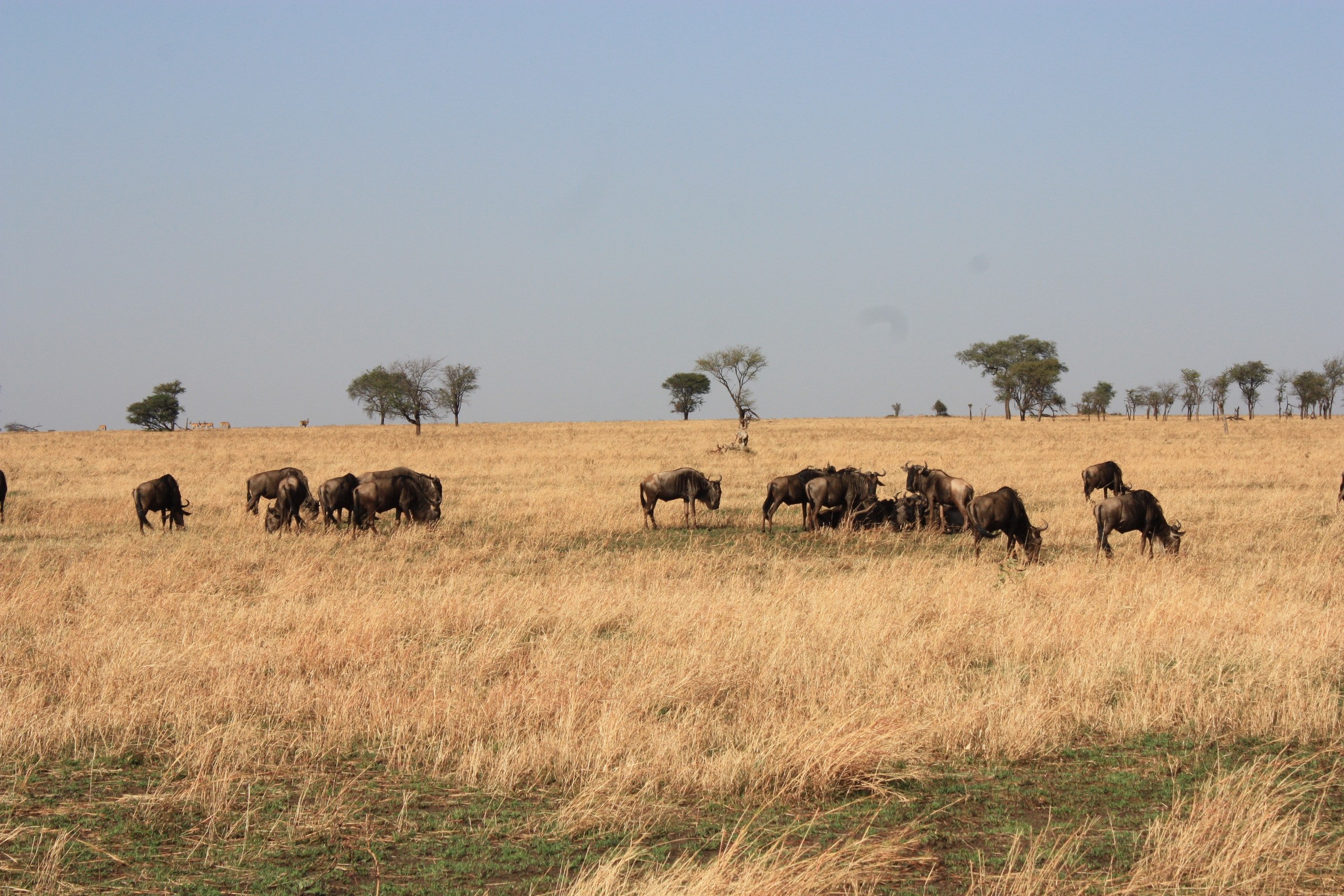 Landschap van Tanzania