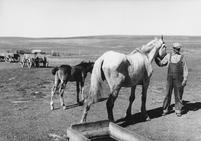 Example artefact image