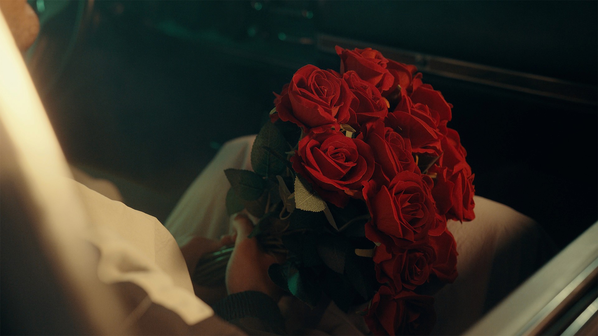 red roses in a car, cinematic light