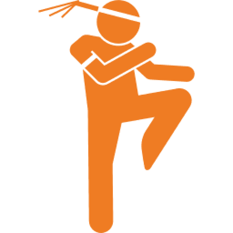 image used as a icon