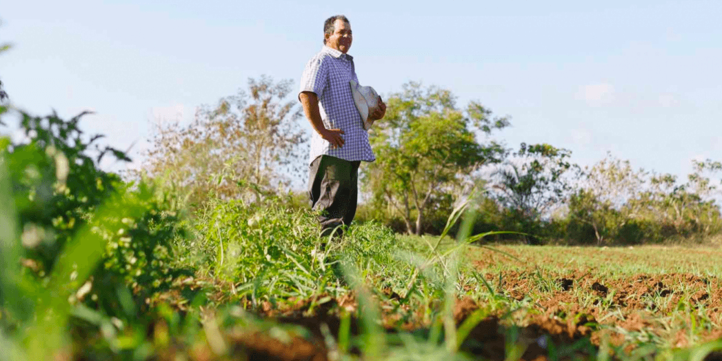 nestle supporting regenerative agriculture photo of man standing in field