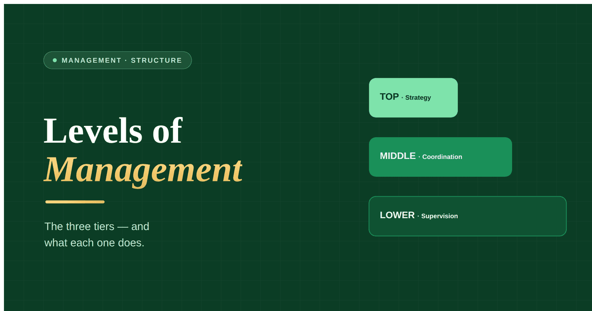 The three levels of management, top, middle and lower, their roles, the skills each level needs, and how authority and responsibility flow between them.