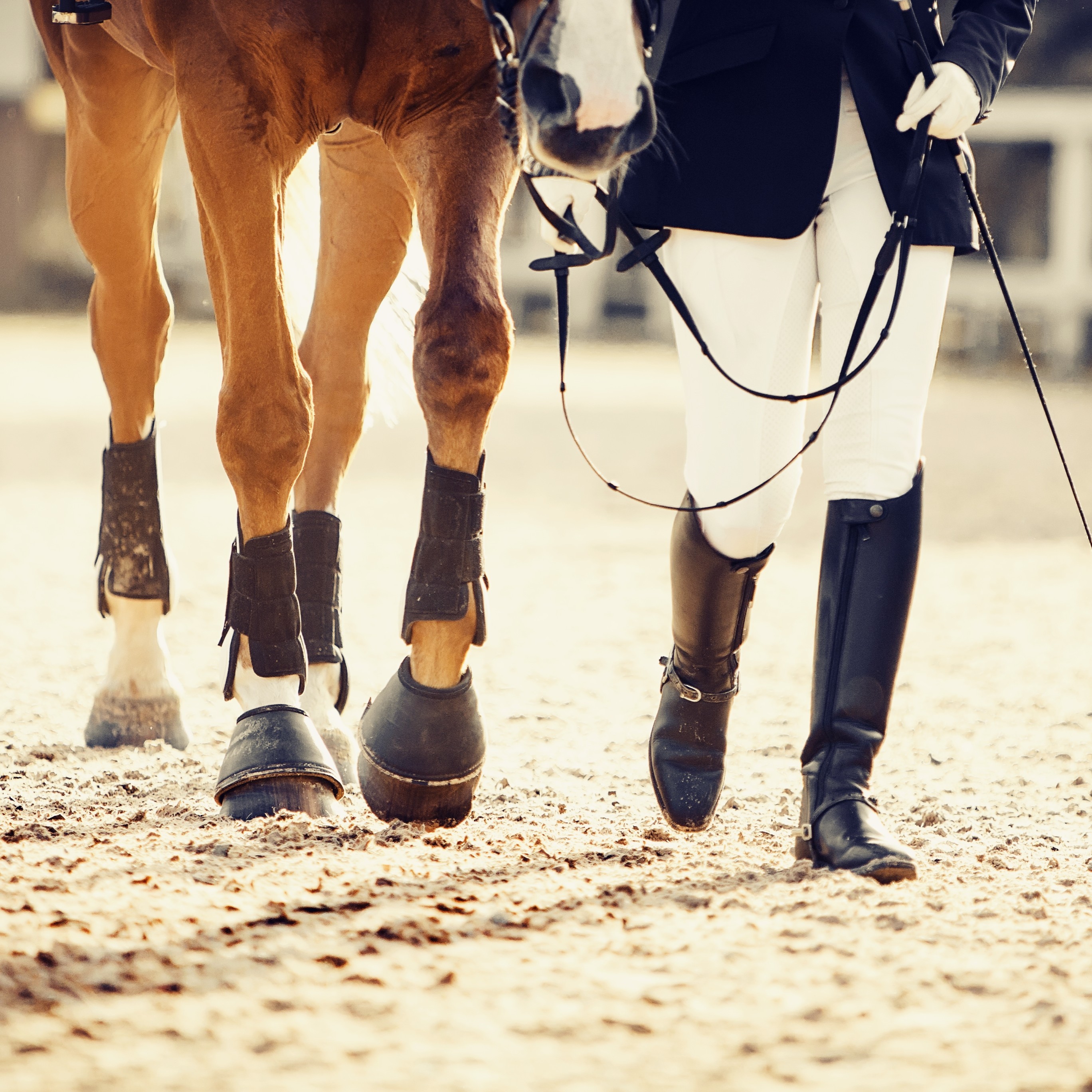 Woman Leading Horse