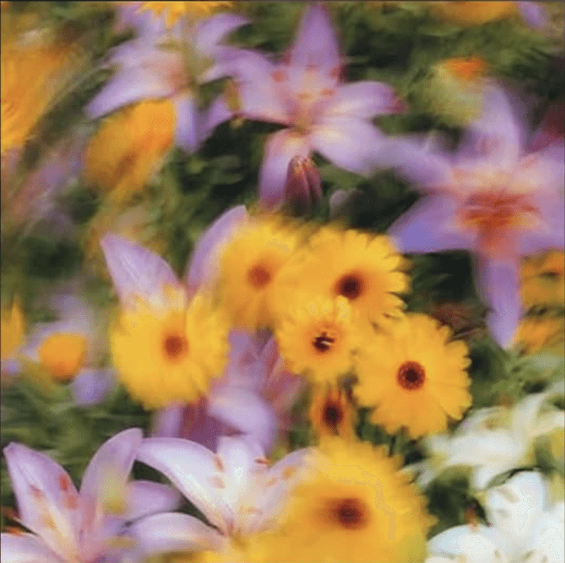 Album cover art for Eligio Casale - Apostles Of Silence