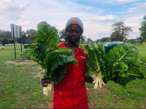 People and panda statues near a train station at night