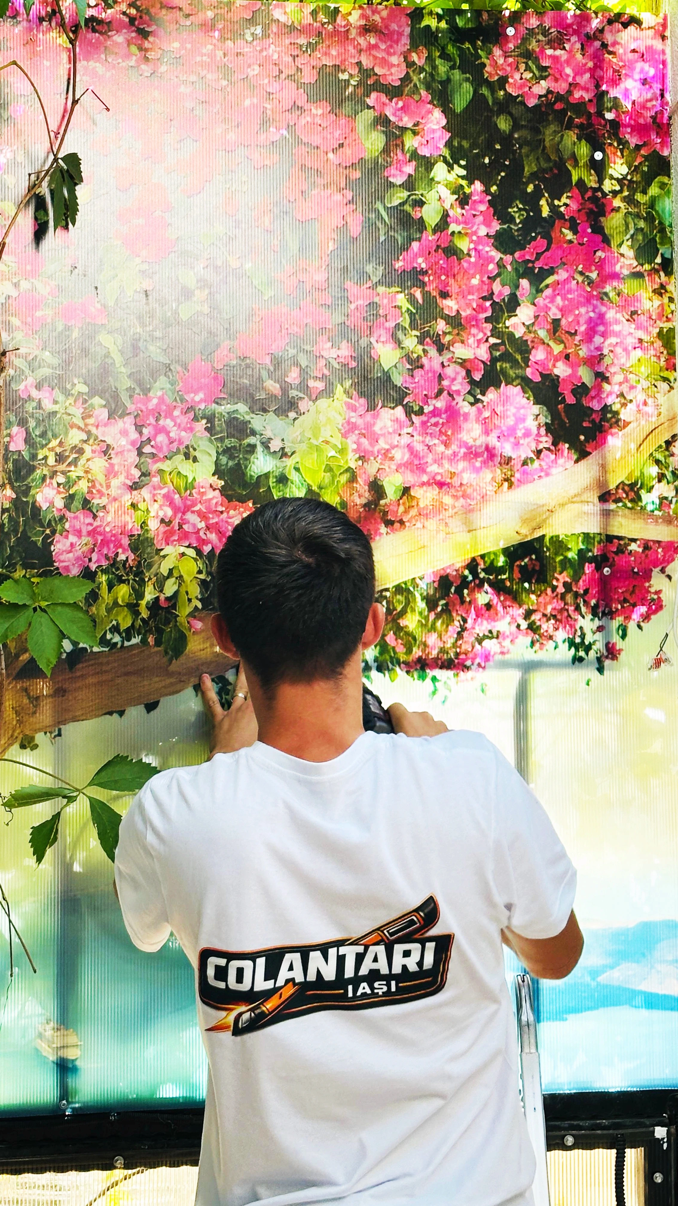Membru al echipei Colantari Iași montând folie printată cu model floral