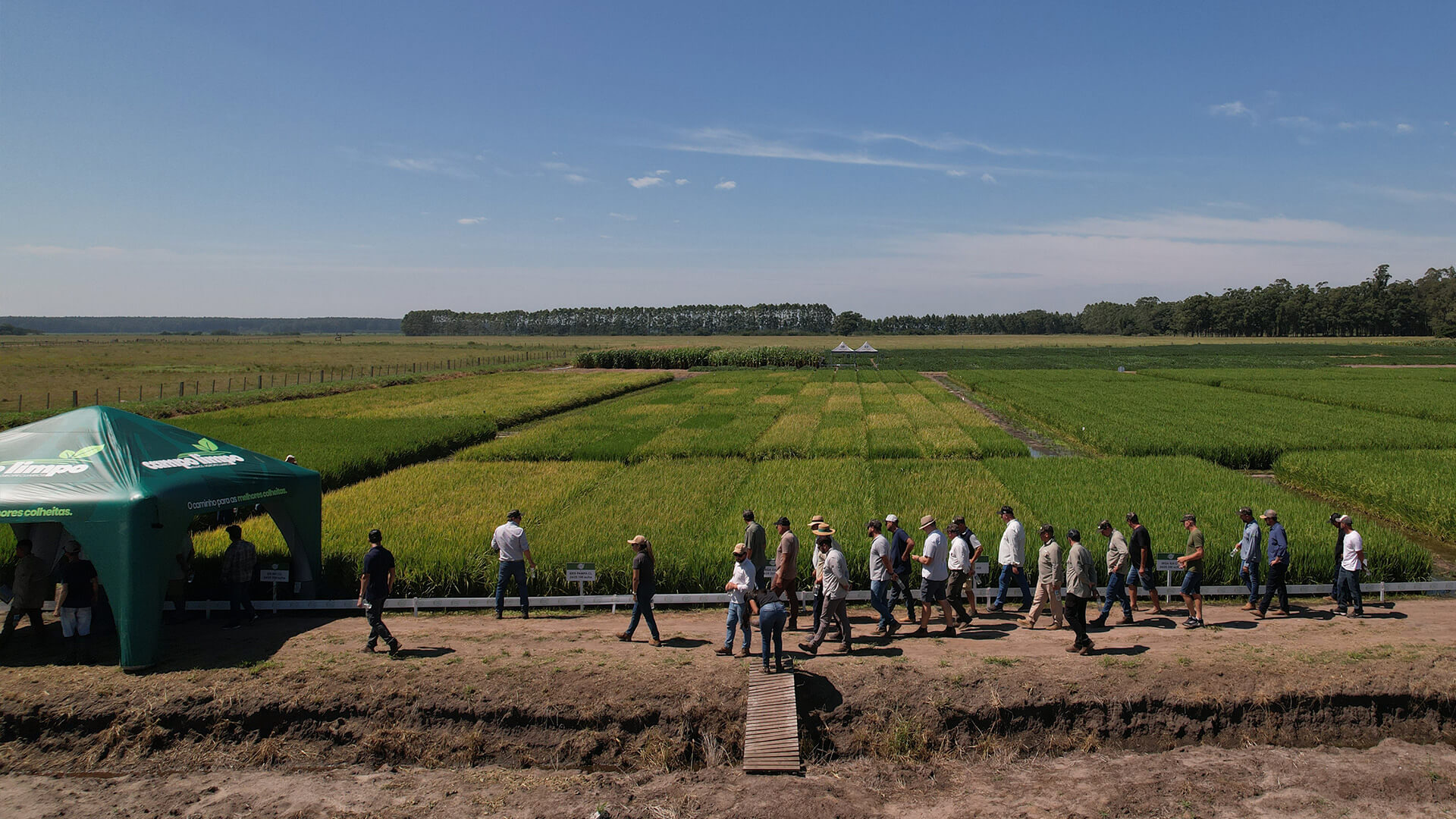 Amplo campo com profissionais do agro