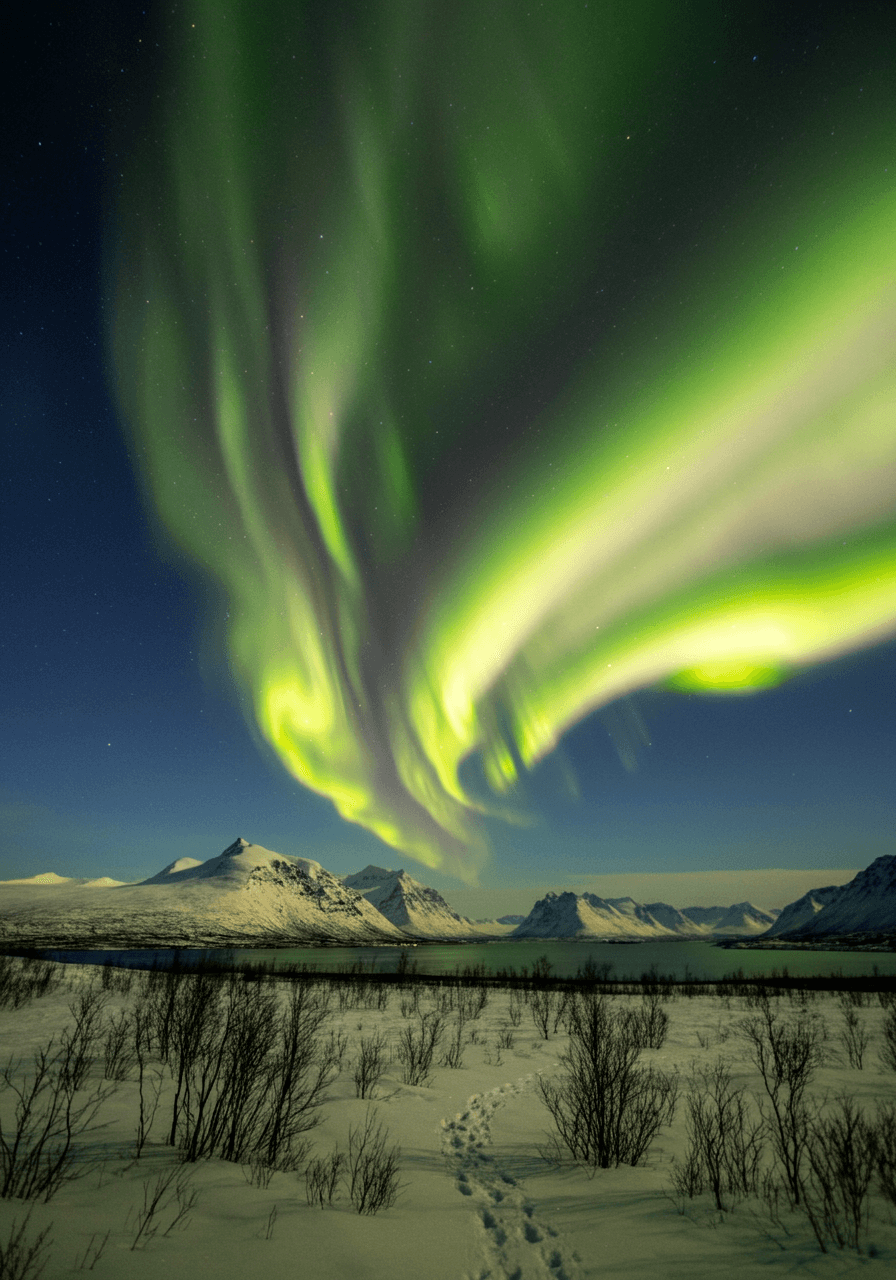 beautiful northern lights over the arctic tundra