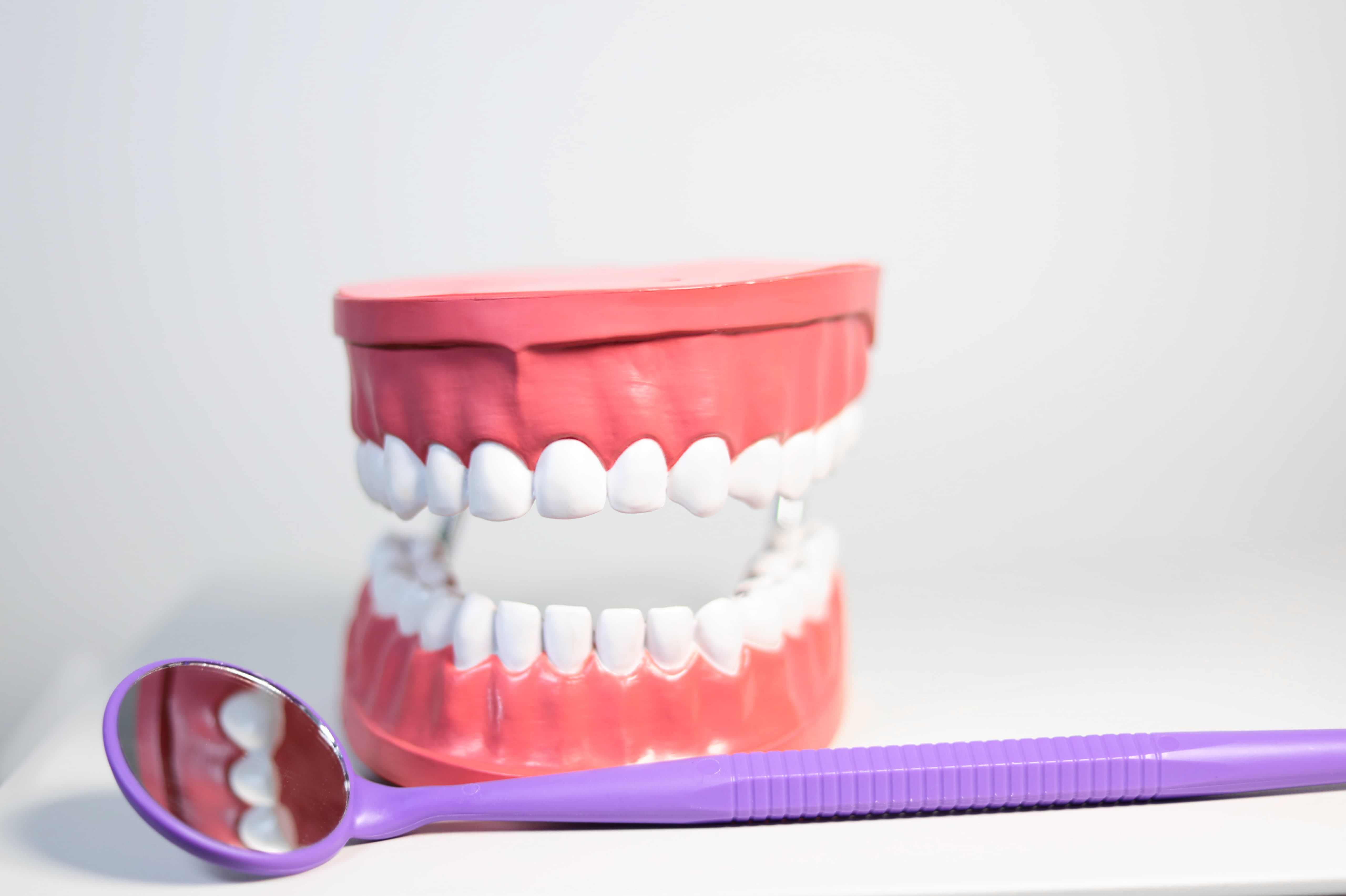 Veranschaulichung von Zahnbesteck und dem Gebiss für Kinder