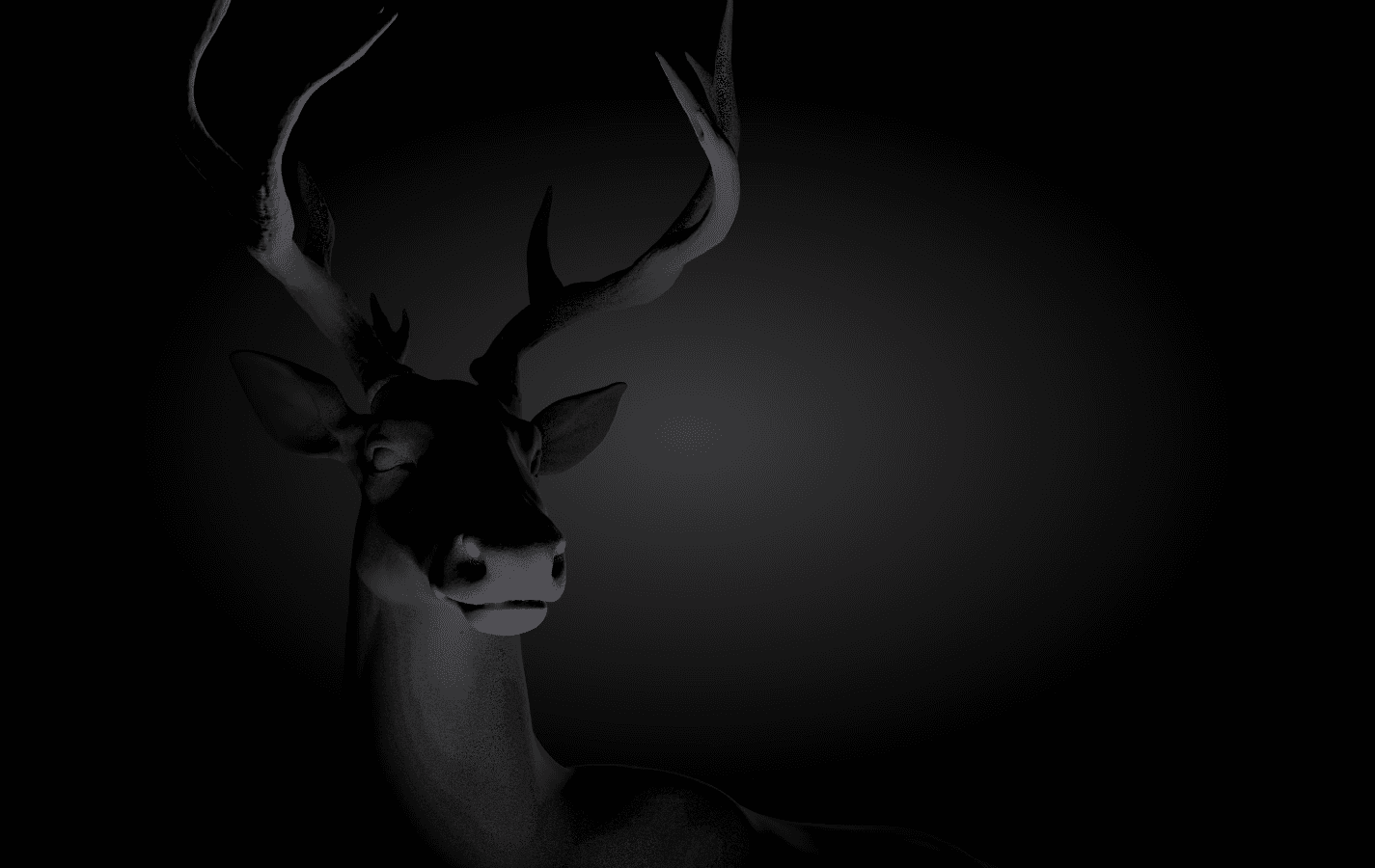 Dynamic picture of a cyclist riding downhill