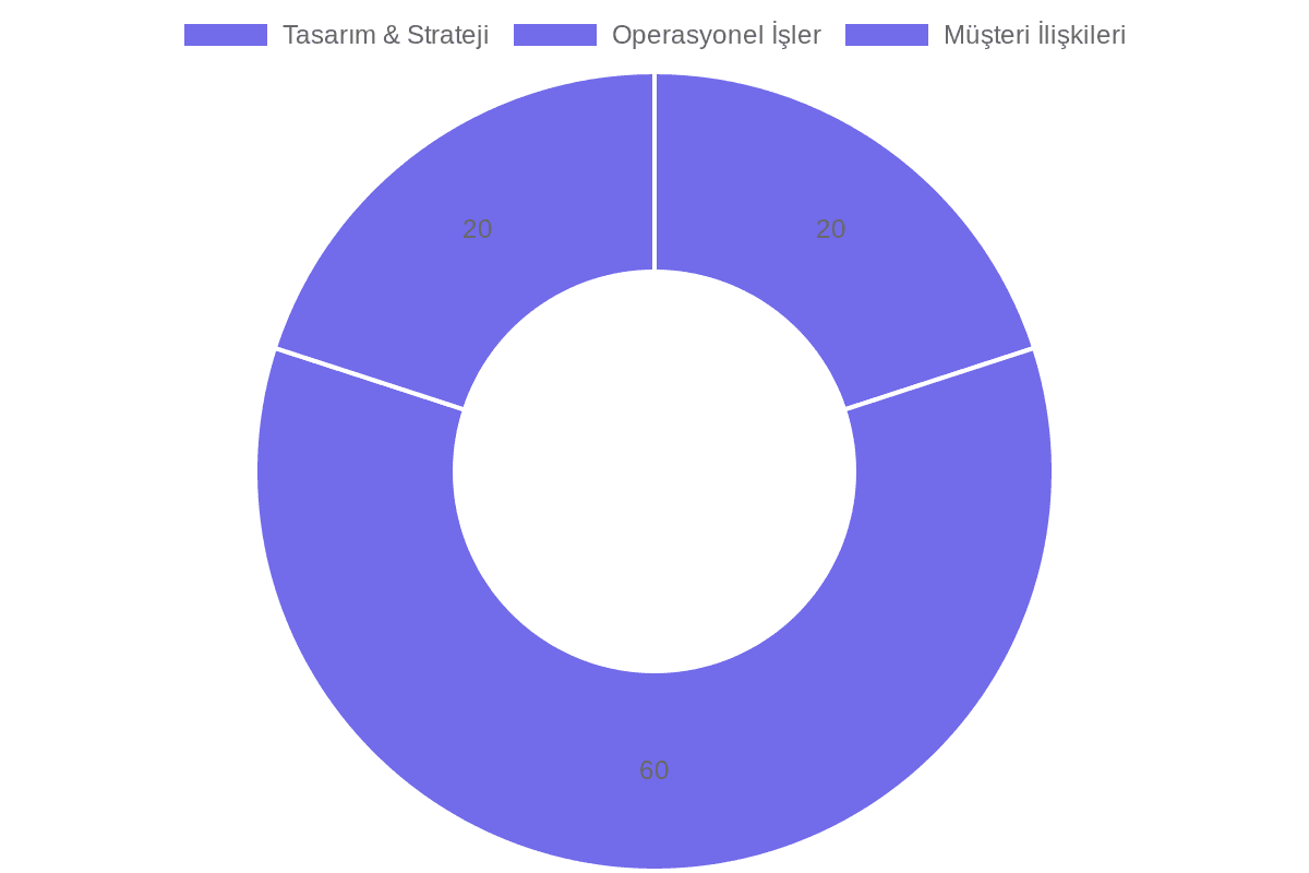 Satıcıların Zaman Ayırdığı Alanlar (Manuel vs Otomatik)