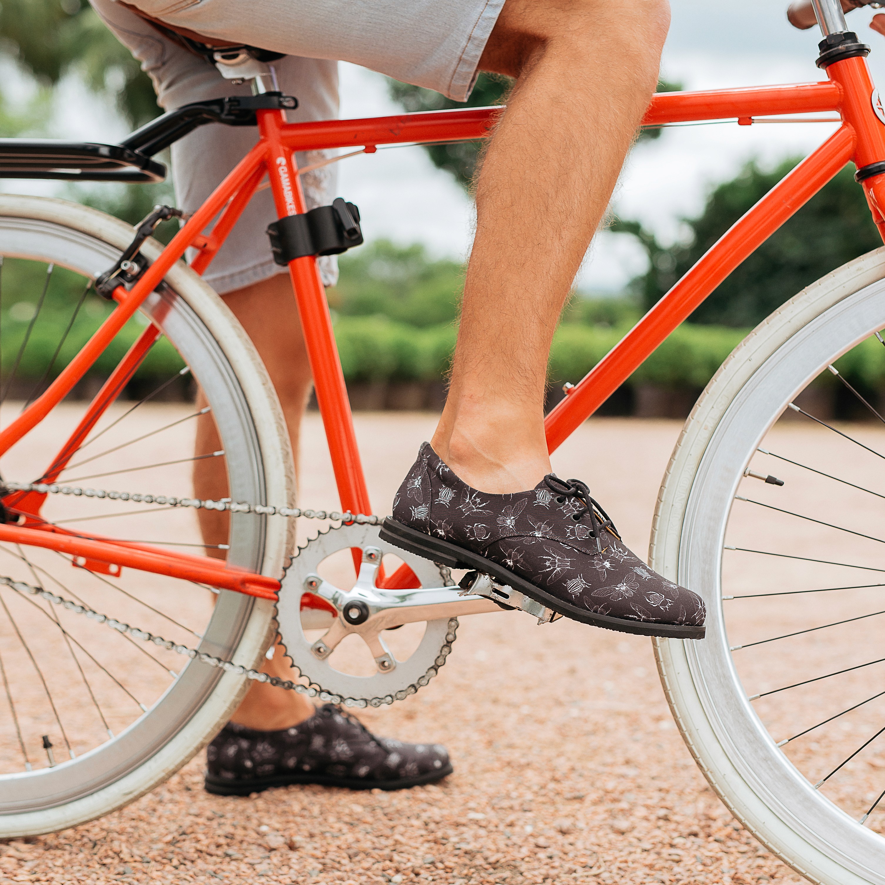 The image featured at the top of the about us page #1