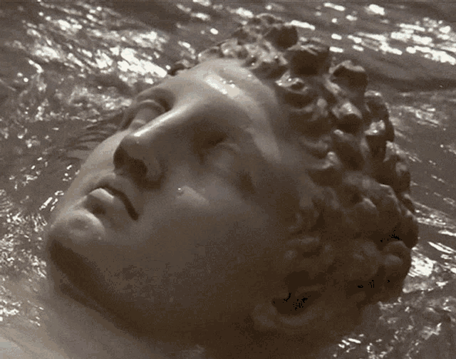 Greek Statue Head Floating in Water