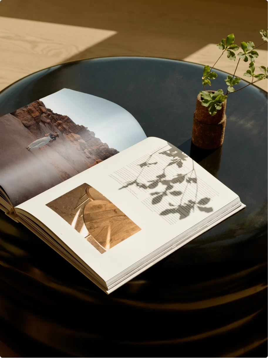 Dom Pérignon vineyards from the sky