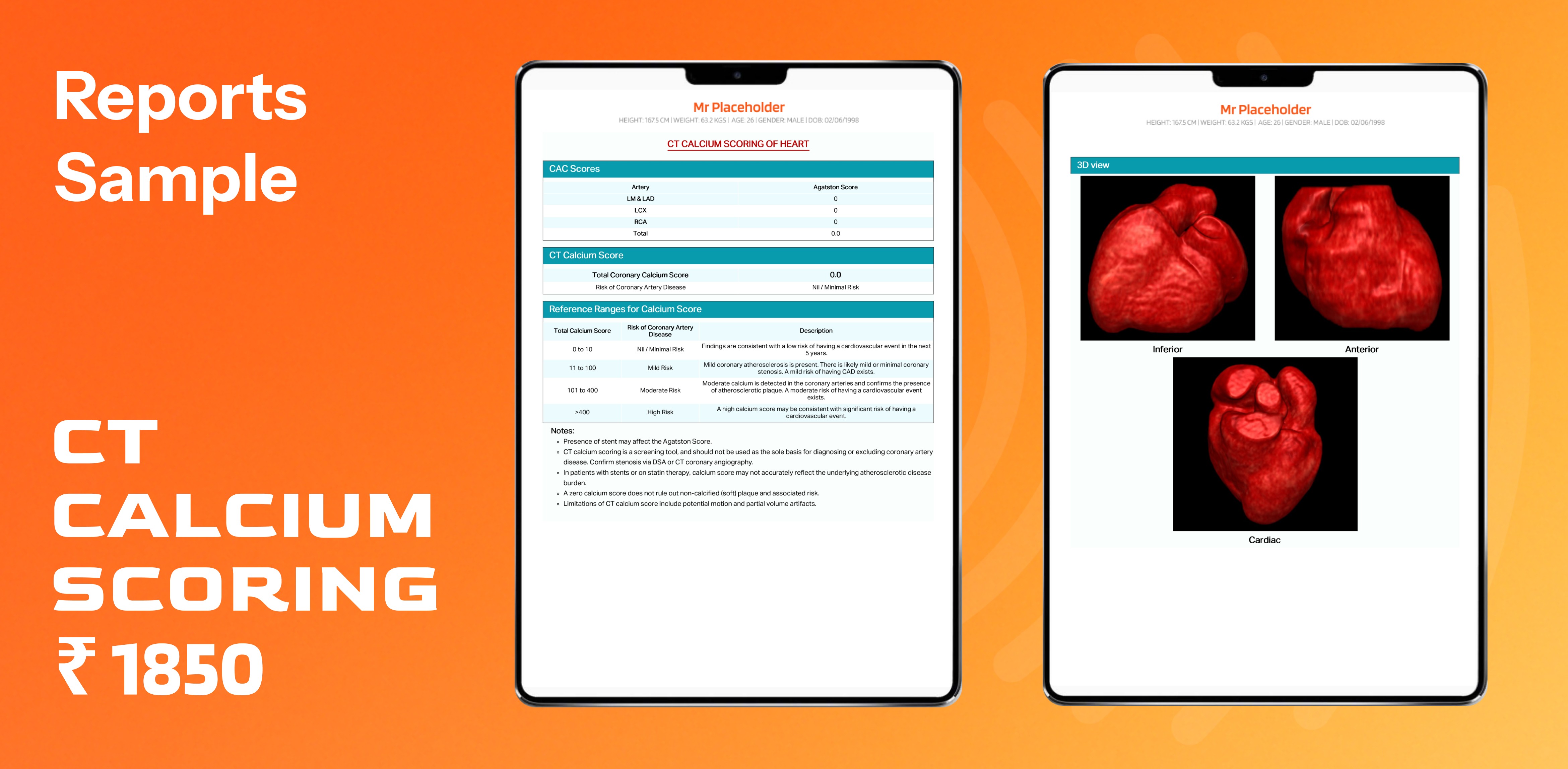 a gloved hand holding a test tube filled with liquid
